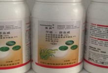 甲维茚虫威作用？