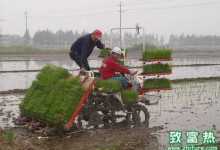 水稻抛秧机的使用及注意事项