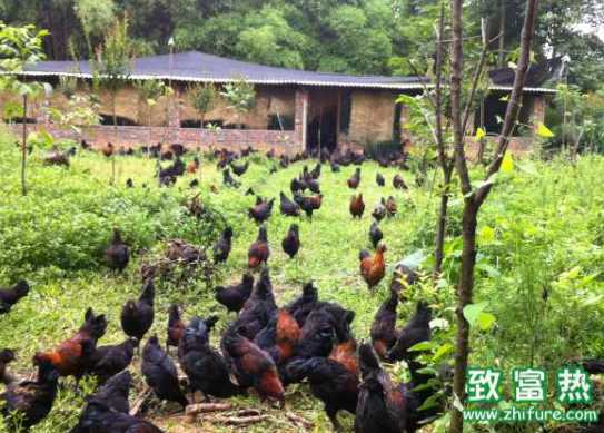 新办养殖场 需哪些证件