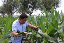 微生物农药的优缺点