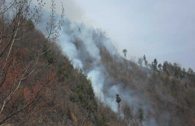 山头火