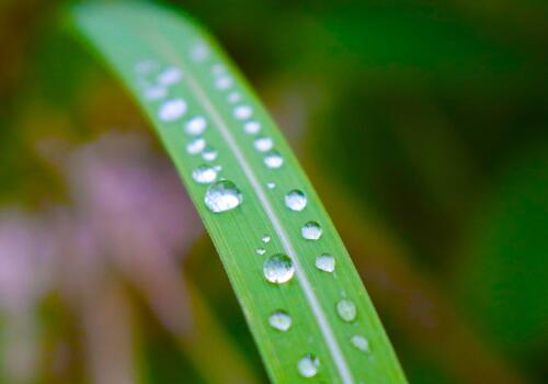 雷雨天气的坏处