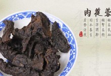 肉苁蓉的功效与作用及食用方法