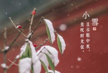 小雪节气是什么意思?