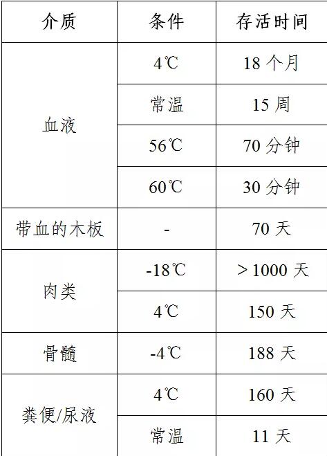 非洲猪瘟能活几天图片