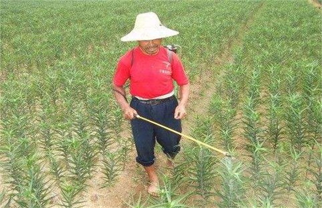 微生物农药 优缺点