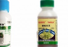 精喹禾灵使用范围介绍！