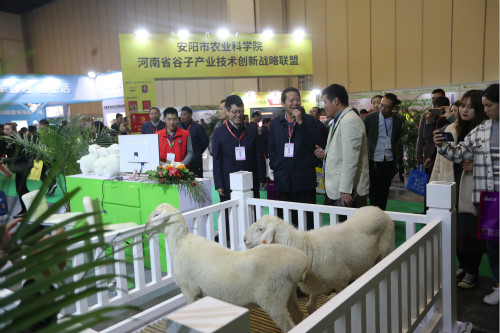 2019河南（郑州）国际现代农业博览会