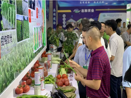 第五届成都种业博览会圆满落幕,农业盛事聚焦行业关注