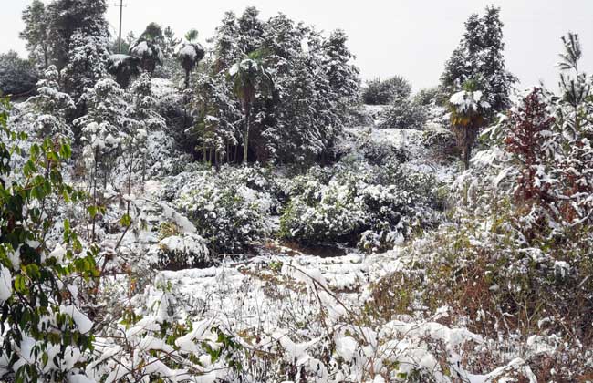 小雪节气是什么意思