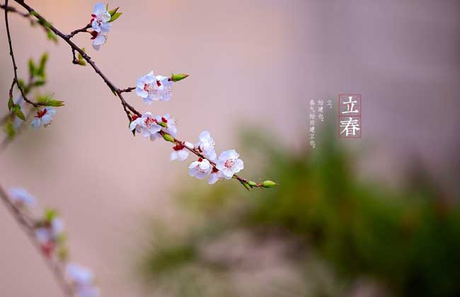 立春是几月几日