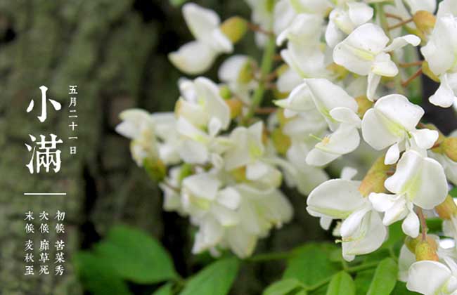 小满节气是什么意思