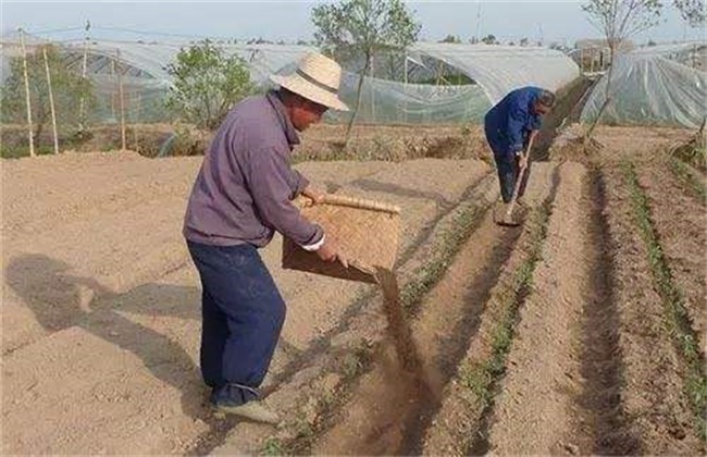 生物有机肥作用及注意事项