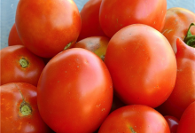 西红柿价格近四个月上涨84%！货源少导致频繁
