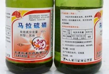 马拉硫磷治什么害虫