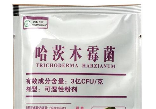 哈茨木霉的主要作用是什么？