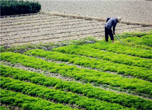 农村户籍制度改革：房屋拆迁补偿是按户籍人口算还是面积？