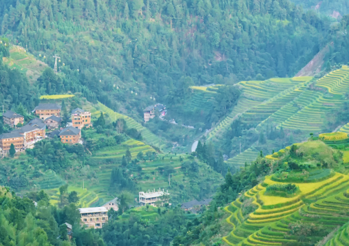 山东平邑九间棚村：荒山岭的致富经！