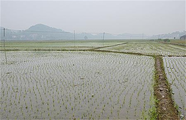 农田承包