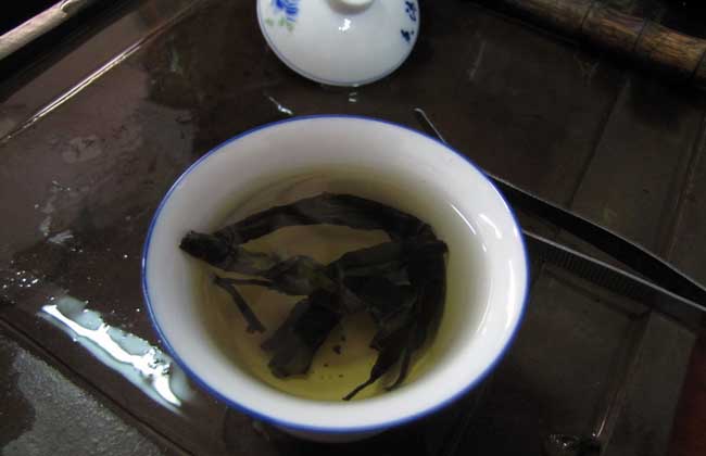 苦丁茶属于什么茶