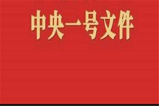 2020年中央一号文件公布：全文共包括这5个部分！附解读