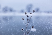 华北雪花到货是怎么回事？雪什么时候下？雪后是