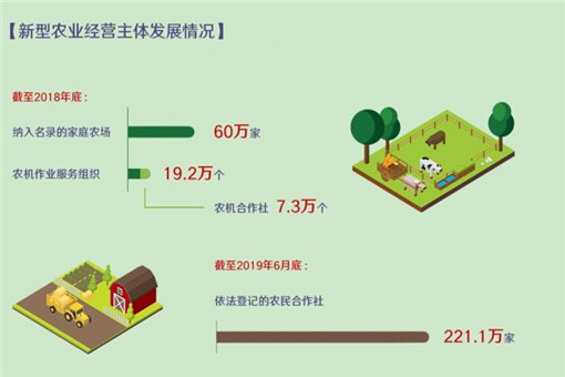 数说新中国70年农业农村巨变（全文）