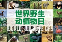 2020世界野生动植物日是哪一天？宣传标语是什