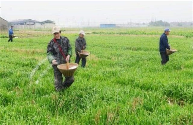 春耕施肥误区和注意事项