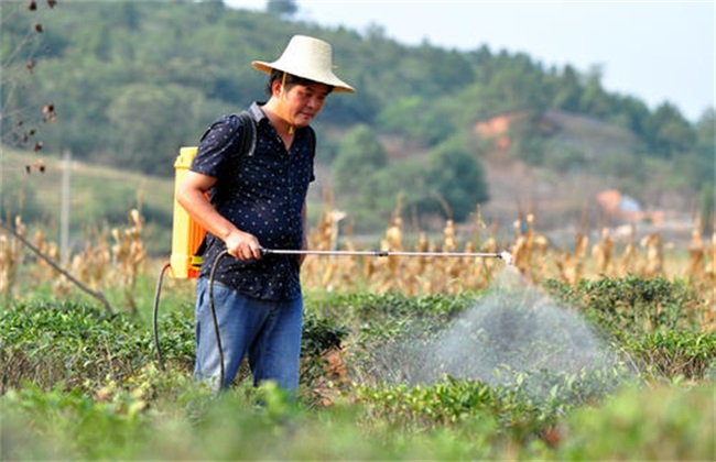 生物农药 使用注意事项