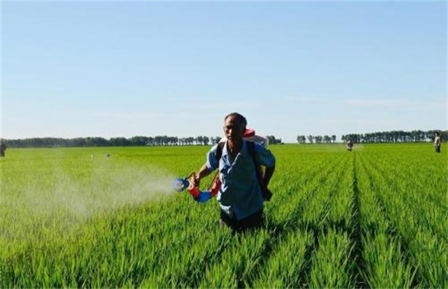 生物农药 使用注意事项