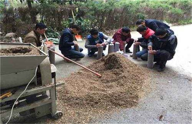 食用菌使用农药注意事项