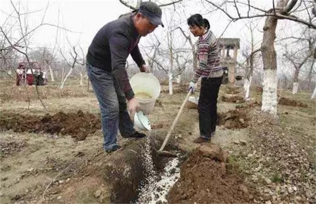 复合肥 使用要点