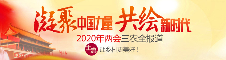 2020年NPC和CPPCC热点:加强母语保护的建议！目的是甚麽？详情附后！