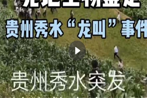 两人因在贵州的龙叫事件而被捕！你为什么被拘留？事情的真相原来是这样的！