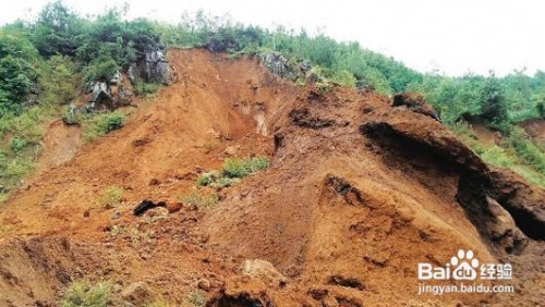 野外遭遇山体滑坡应该怎样逃生？