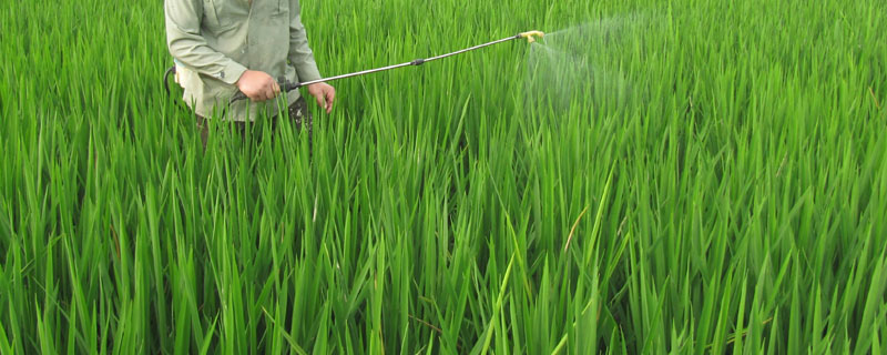 乙草胺打完了下雨管用吗,打完后多久可以种东西？