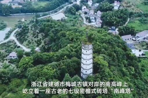 宋代南峰塔与塔顶古树或将分离