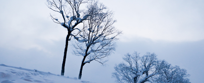 阳春白雪和下里巴人最初指的是什么？