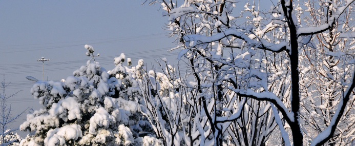 阳春白雪和下里巴人最初指的是什么？