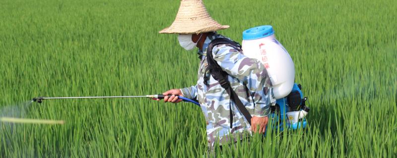 有机硅不能混用的农药，能和什么药一起用