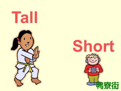 tall是什么意思？