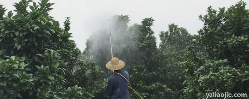 萘乙酸在果树上的使用方法，对植物的根茎起到