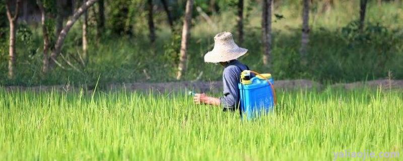 恶唑菌酮不能和什么配，作用是治疗还是保护