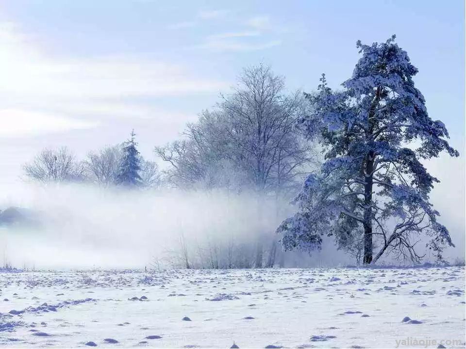 描写冬天雪景的诗句有哪些？