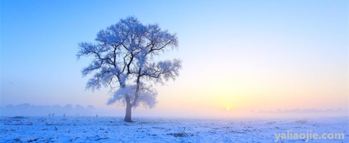 描写冬天雪景的好段落有哪些？