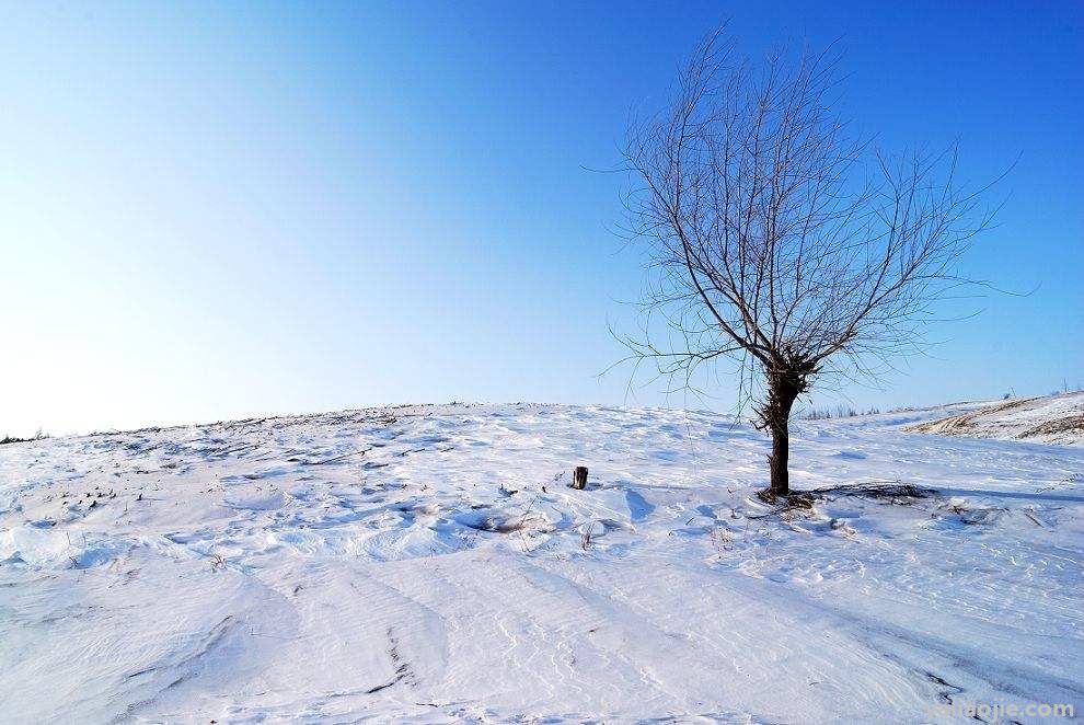 描写雪景的句子有哪些？