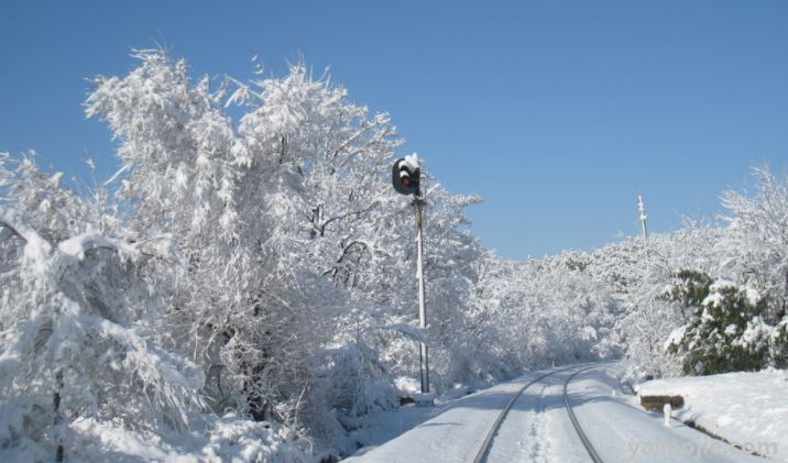 大雪节气的谚语有哪些？