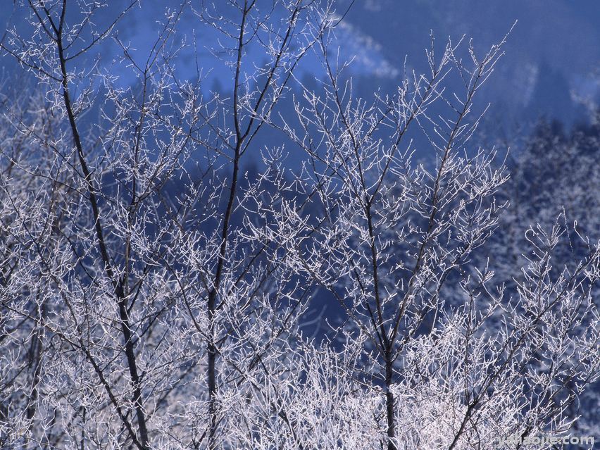 描写雪景的句子有哪些？