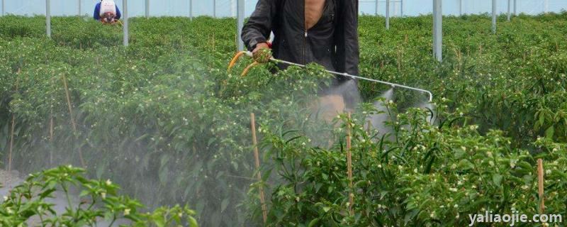 农药苦参碱的杀虫范围，能与其他农药混合吗